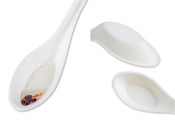 Leading Manufacturer of 100% Compostable Bagasse Spoon Leading Manufacturer of 100% Compostable Bagasse Spoon